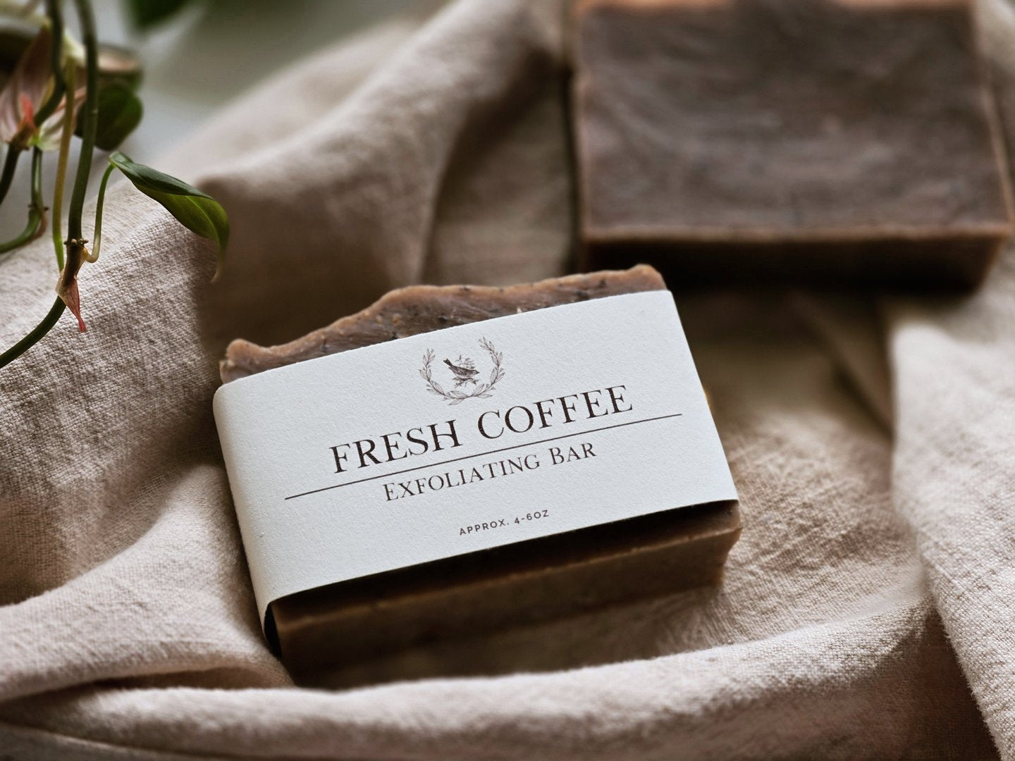 Fresh Coffee Exfoliating Bar